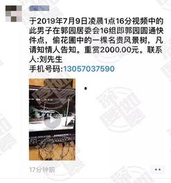 最新网友爆料视频,惊人真相曝光！