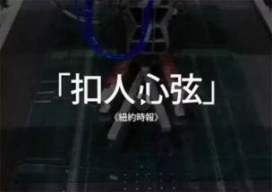 美国工厂爆料视频播放,揭秘生产线真实情况